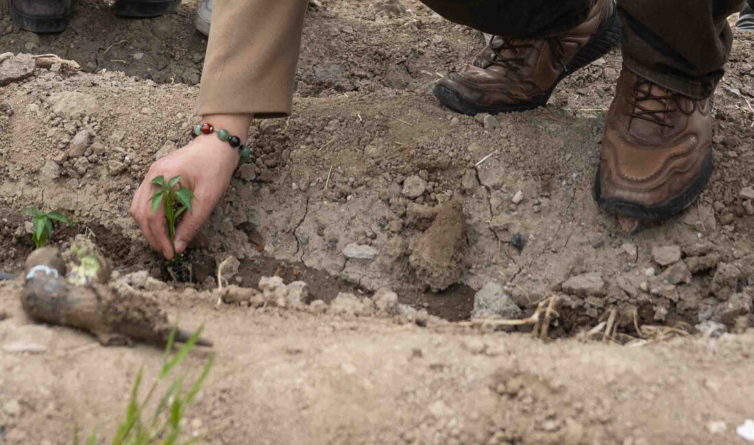Bornova’da umut toprakla büyüyor Kent Bostanlarında yaz sezonu coşkuyla başladı