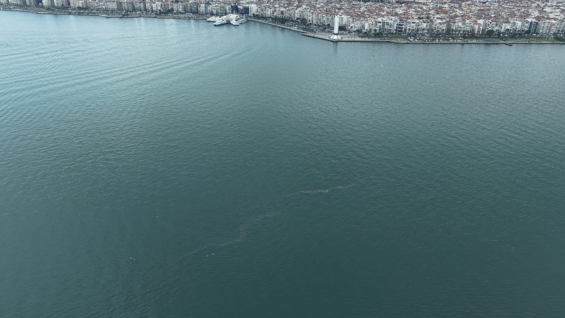 İzmir’de çevre alarmı veren yeni bir gelişme yaşandı. Dron destekli