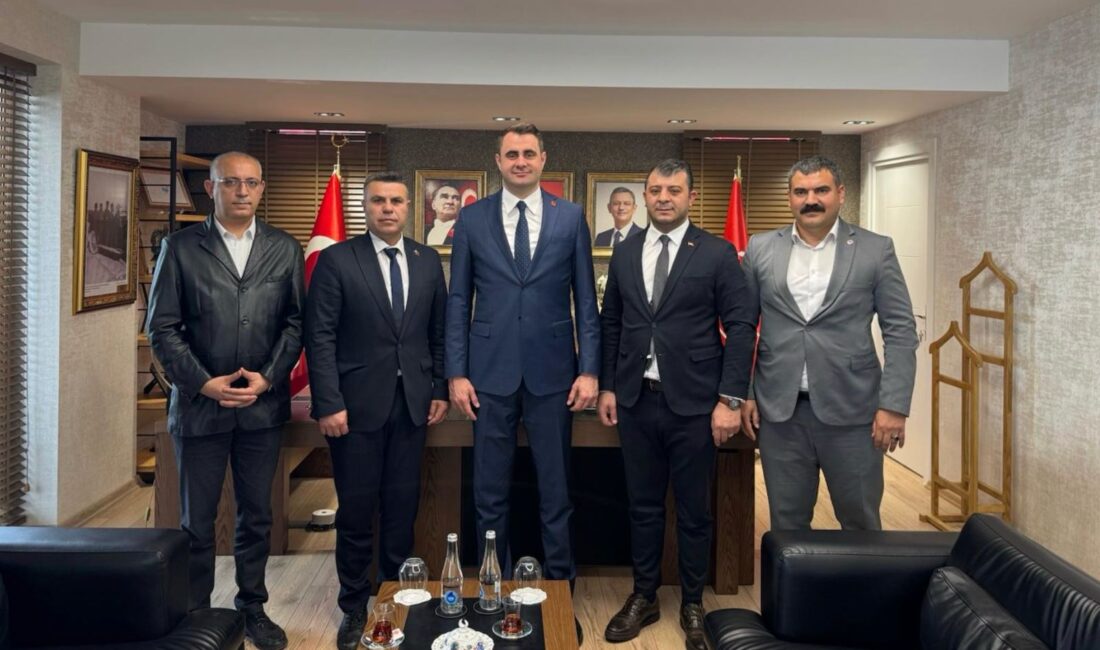 Tüm Bel-Sen İzmir 2 Nolu Şube, Tüm Yerel Sen İzmir