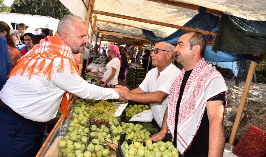 Menemen’in eşsiz lezzetiyle öne çıkan Bozalan İnciri, 23 Ağustos’ta düzenlenecek
