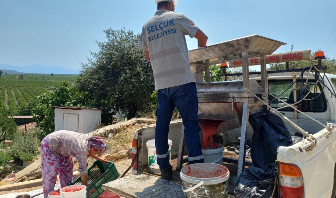 Efes Selçuk Belediyesi, kış hazırlığı yapan vatandaşların geleneksel salça yapımını