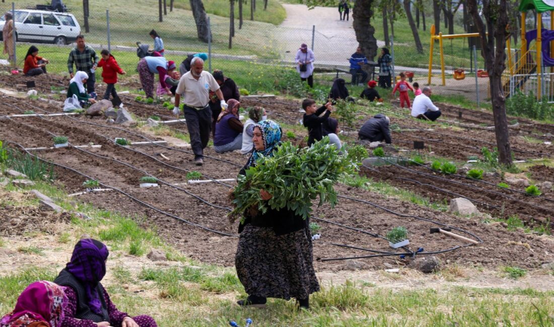 İzmir Büyükşehir Belediyesi’nin kent tarımını desteklemek amacıyla hayata geçirdiği Mahalle
