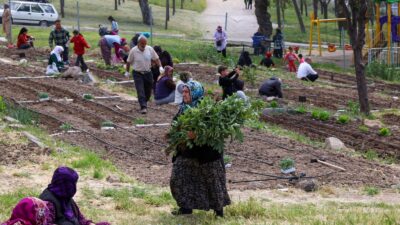 İzmir Büyükşehir Belediyesi’nin kent tarımını desteklemek amacıyla hayata geçirdiği Mahalle