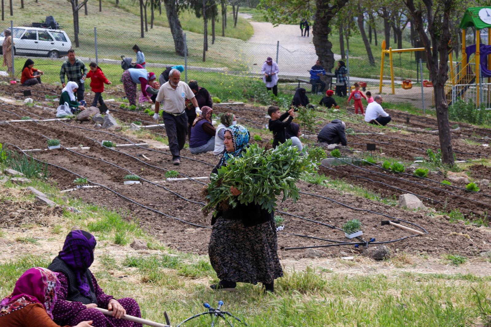 İzmir Büyükşehir Belediyesi’nin kent tarımını desteklemek amacıyla hayata geçirdiği Mahalle