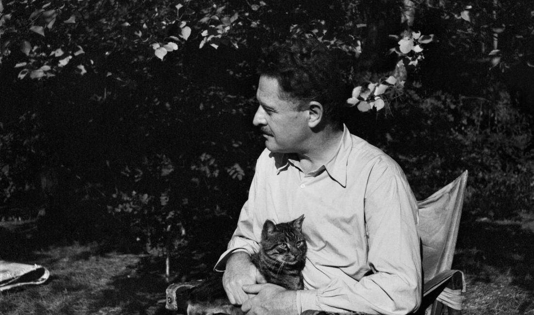 N&acirc;zım Hikmet’in Türkiye’de bugüne kadar düzenlenen en kapsamlı sergilerinden biri