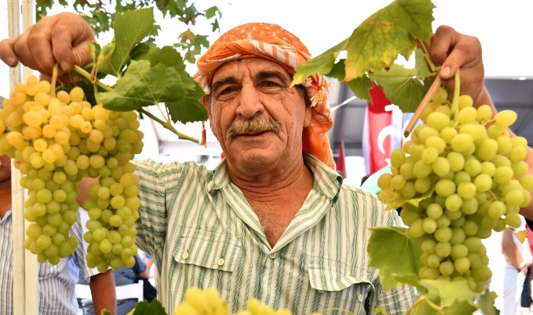 Urla’nın 2600 yıllık bağcılık geleneğini yaşatan Geleneksel Bağbozumu Şenlikleri, 14-15