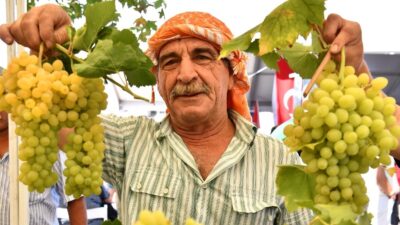 Urla’nın 2600 yıllık bağcılık geleneğini yaşatan Geleneksel Bağbozumu Şenlikleri, 14-15