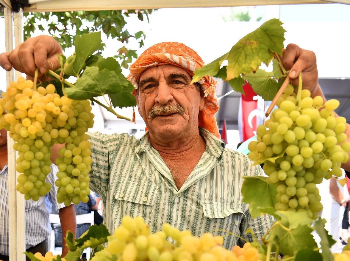 Urla’nın 2600 yıllık bağcılık geleneğini yaşatan Geleneksel Bağbozumu Şenlikleri, 14-15