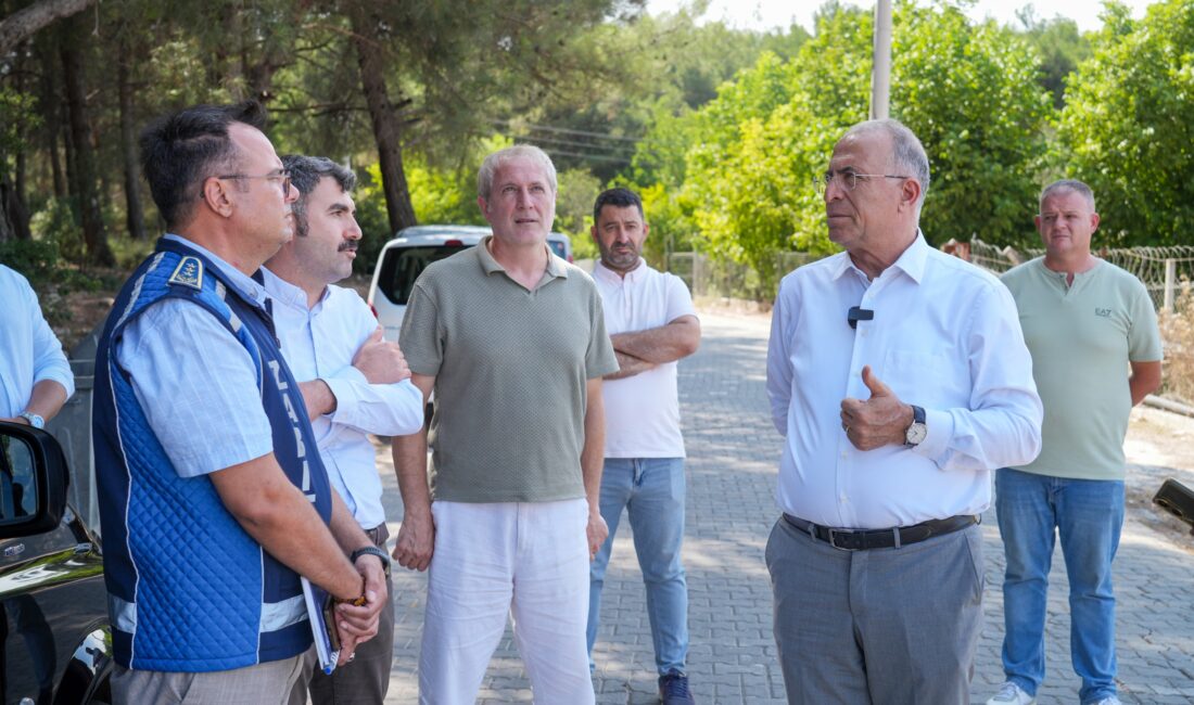 Gaziemir Belediyesi, ormanlık alan, boş arsa ve yol kenarlarına yapılan