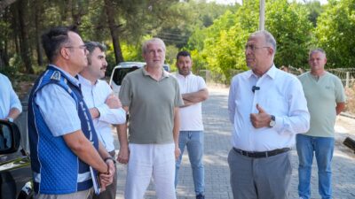 Gaziemir Belediyesi, ormanlık alan, boş arsa ve yol kenarlarına yapılan