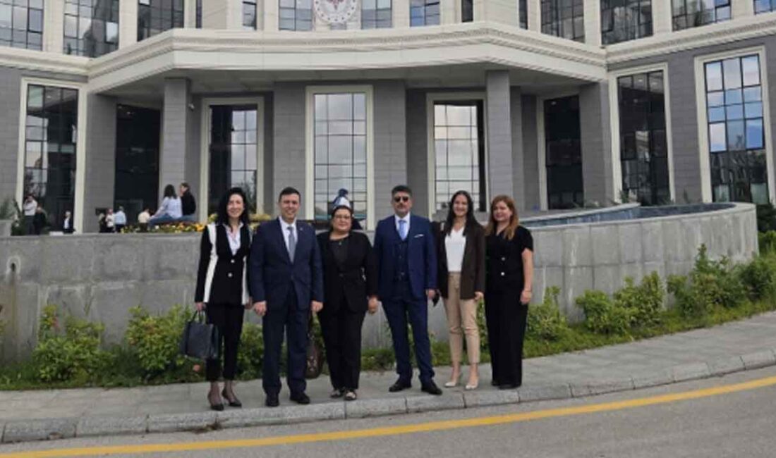 Hekim Birliği, hekimlerin sahadan ilettiği sorunlar ile ekonomik ve özlük