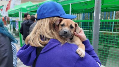 Konak Belediyesi’nin geleneksel hale gelen Patilerin Festivali, 3 Ekim Cumartesi