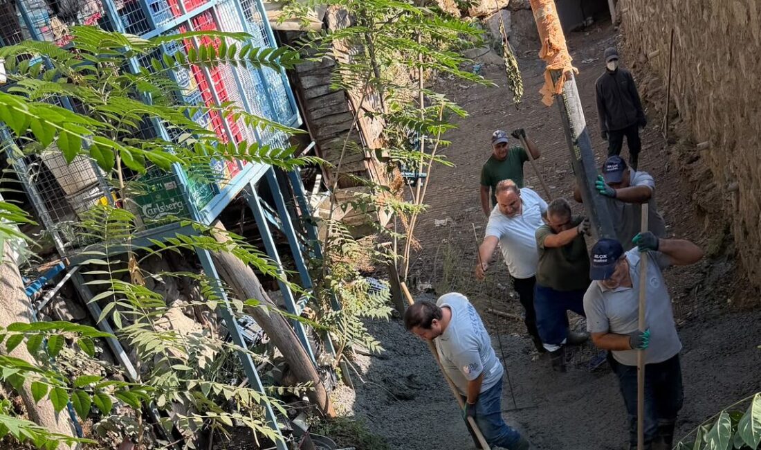 Efes Selçuk Belediyesi, İzmir Büyükşehir Belediyesi ve İZSU iş birliğiyle