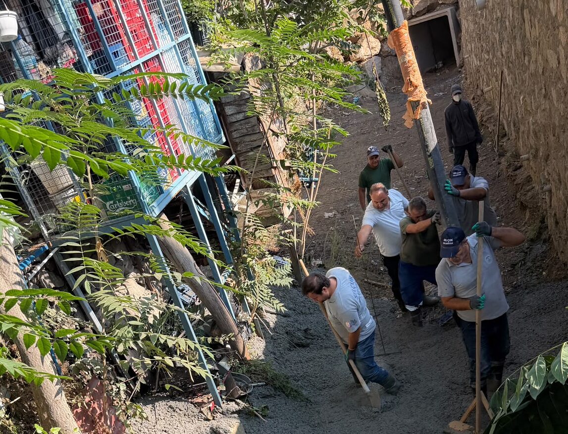 Efes Selçuk Belediyesi, İzmir Büyükşehir Belediyesi ve İZSU iş birliğiyle