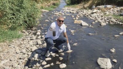 İzmir Büyükşehir Belediye Meclisi Tarım Komisyonu Başkan Vekili ve YENİ