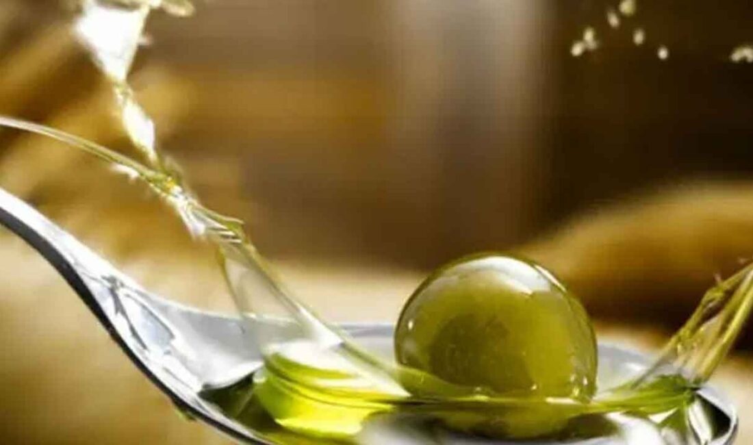 Düzenli zeytinyağı tüketiminin kalp ve damar sağlığı üzerinde olumlu etkileri