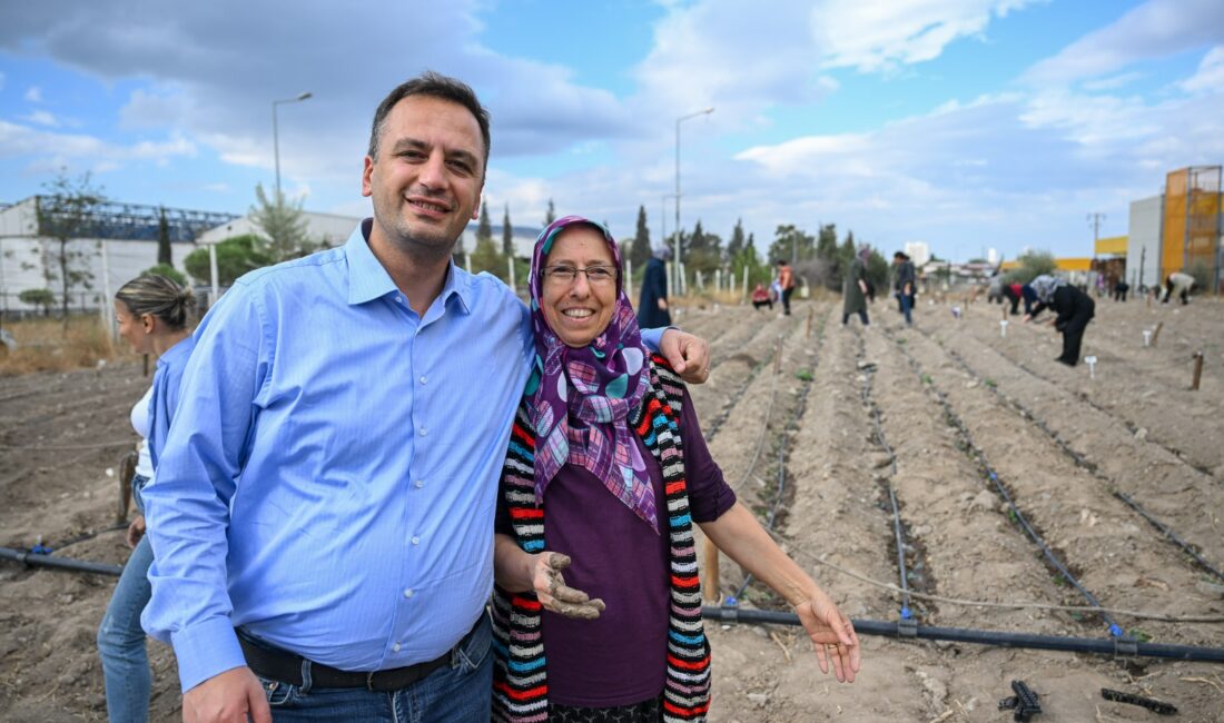 Bornova Belediyesi, 9 kent bostanında kışlık fide dikimini başlatırken 1160