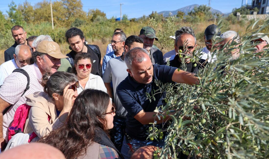 Buca Belediyesi ile Halk Eğitim Merkezi iş birliğinde düzenlenen Sertifikalı