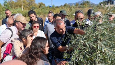 Buca Belediyesi ile Halk Eğitim Merkezi iş birliğinde düzenlenen Sertifikalı