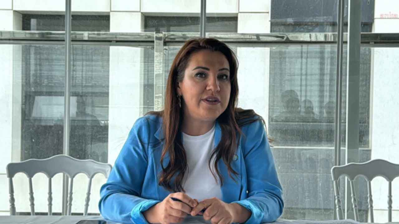 İYİ Parti İzmir İl Başkanı Ülkü Doğan, İzmir Büyükşehir Belediye