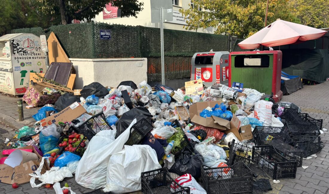Karşıyaka’da yeniden ortaya çıkan çöp birikintileri ve temizlik hizmetlerinde yaşandığı