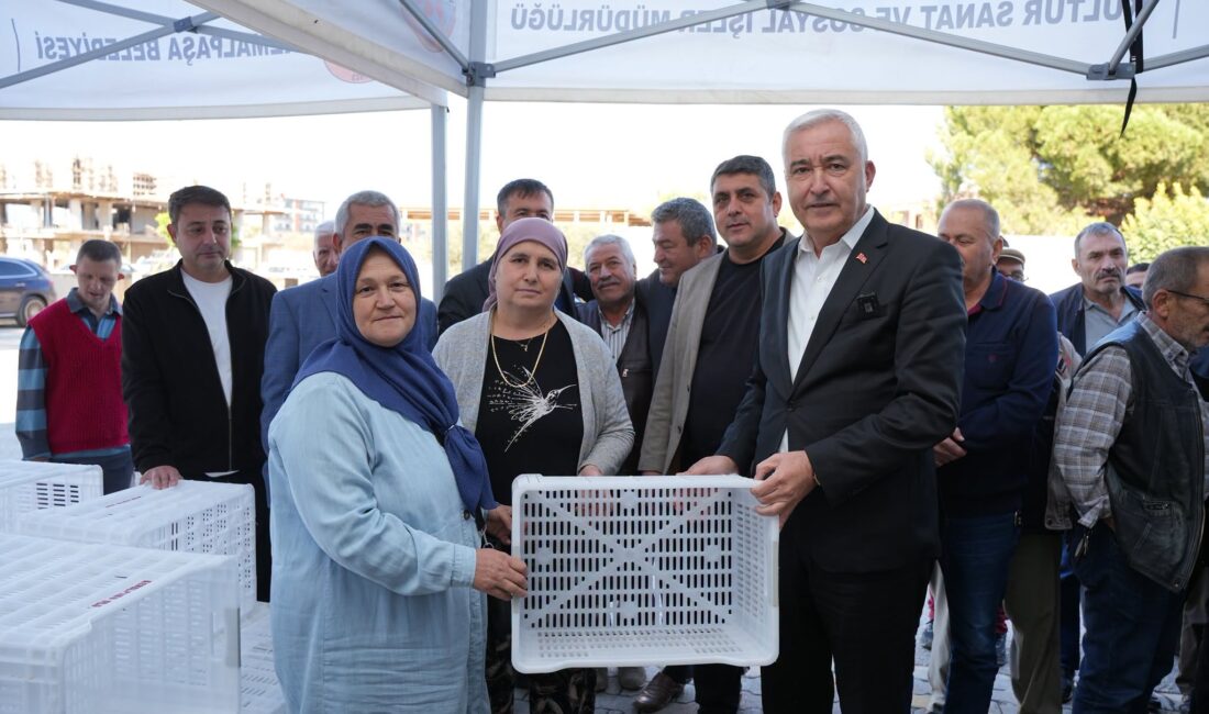 Kemalpaşa Belediyesi, zeytin hasadı öncesinde 656 çiftçiye 4 bin adet