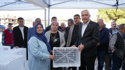 Kemalpaşa Belediyesi, zeytin hasadı öncesinde 656 çiftçiye 4 bin adet